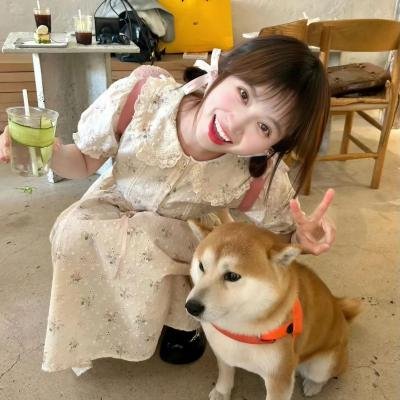 毛毛虫波罗